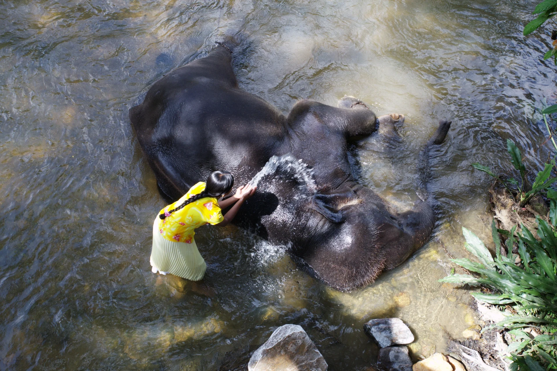 Tradewind-Pictures - Chandani und ihr Elefant - 02