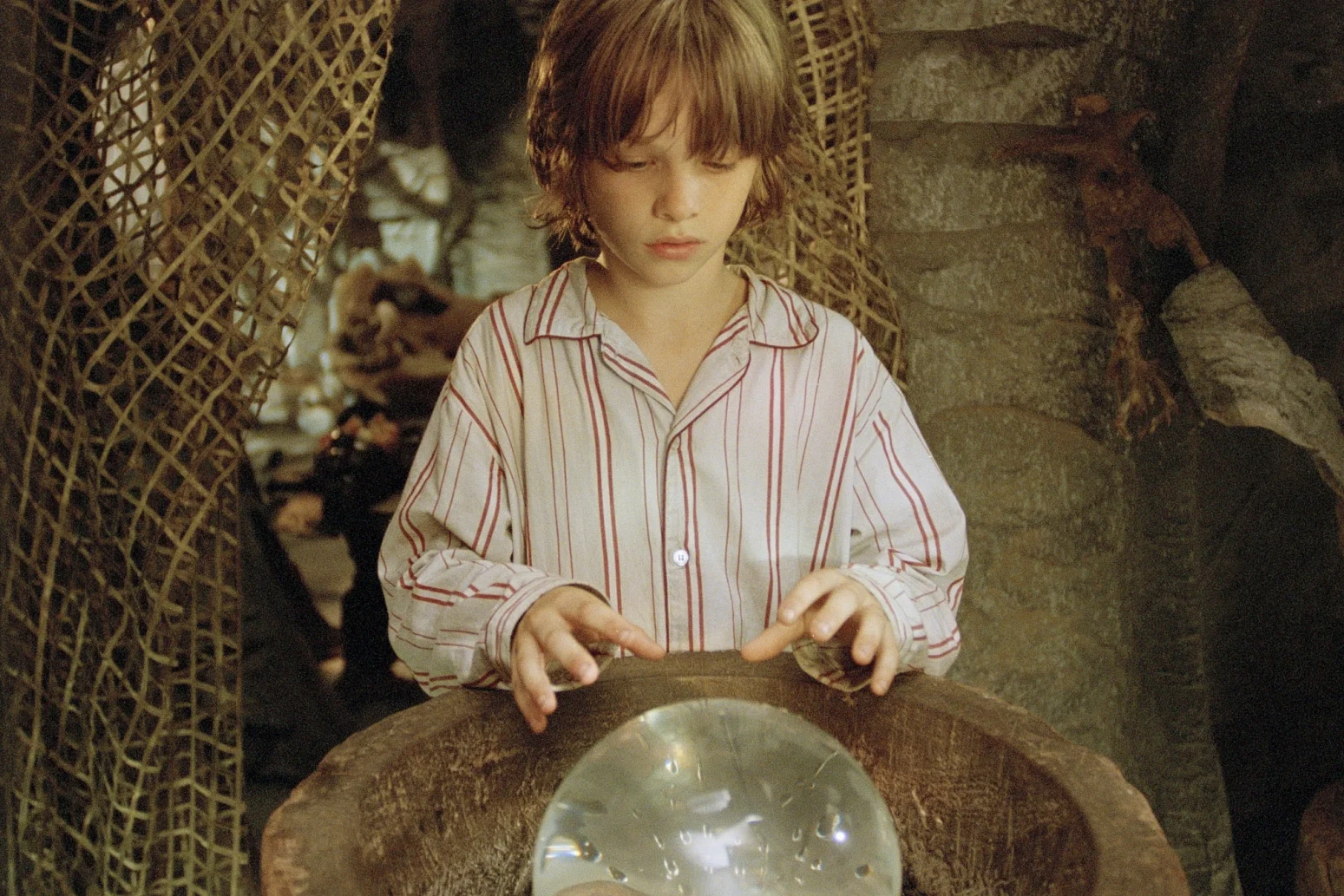 Tradewind-Pictures - Erik im Land der Insekten - 01