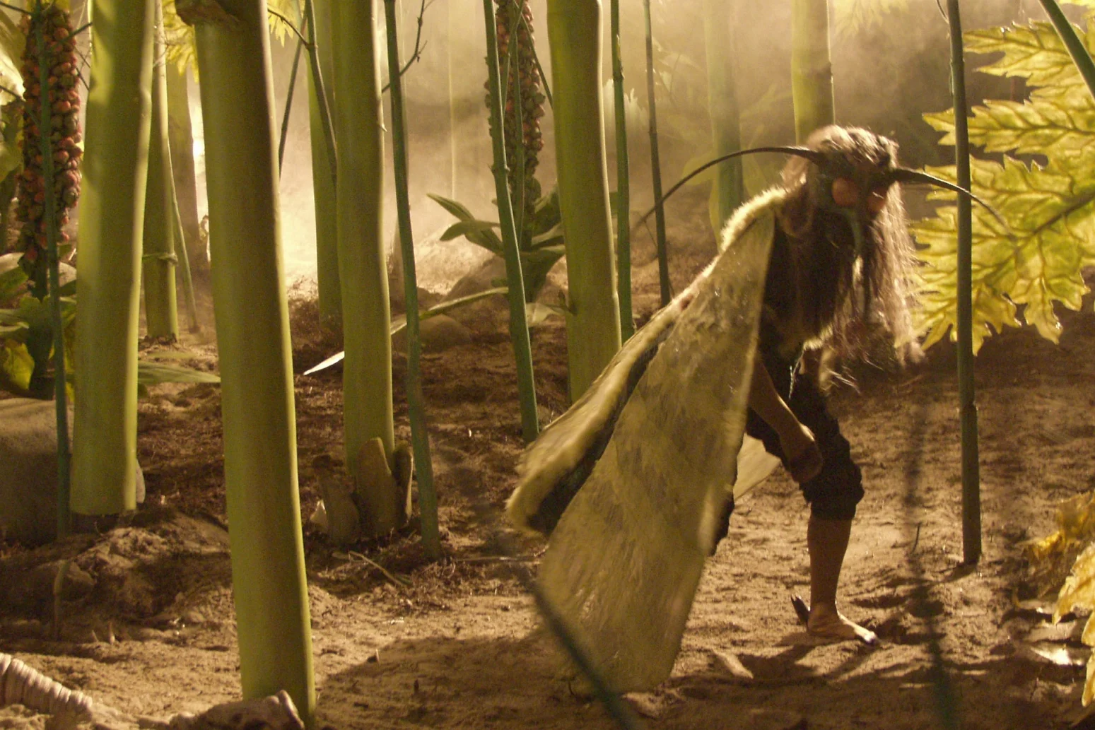 Tradewind-Pictures - Erik im Land der Insekten - 05