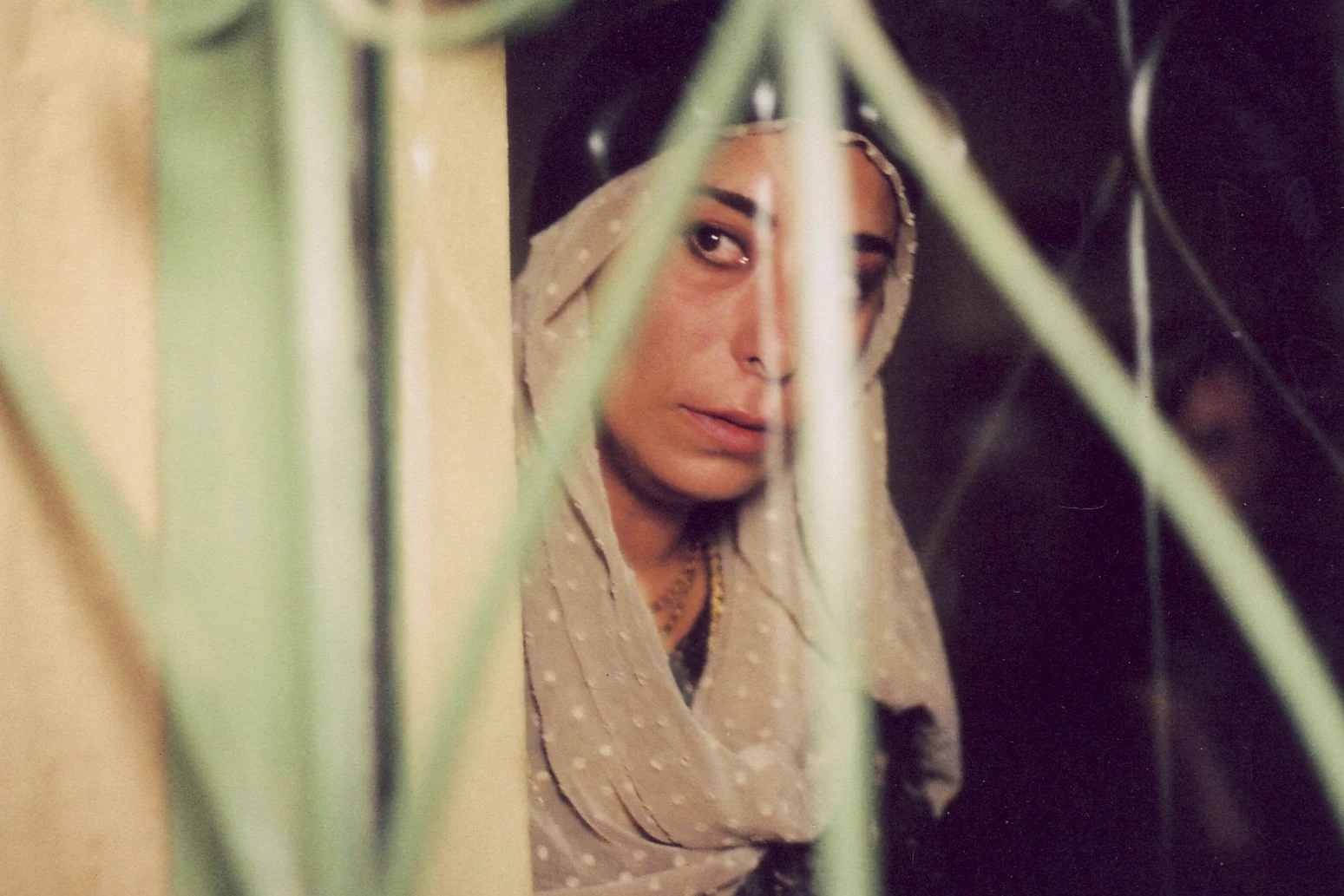 Tradewind-Pictures - Hidden Faces - 03