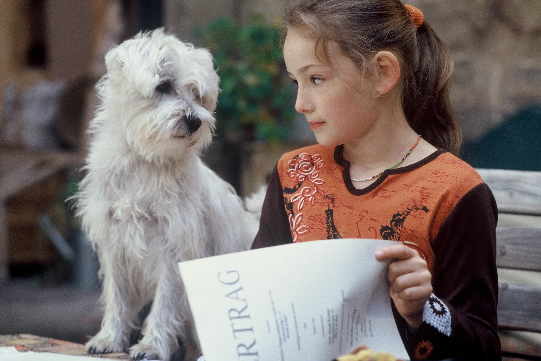 Tradewind-Pictures - Mein Bruder ist ein Hund - 01