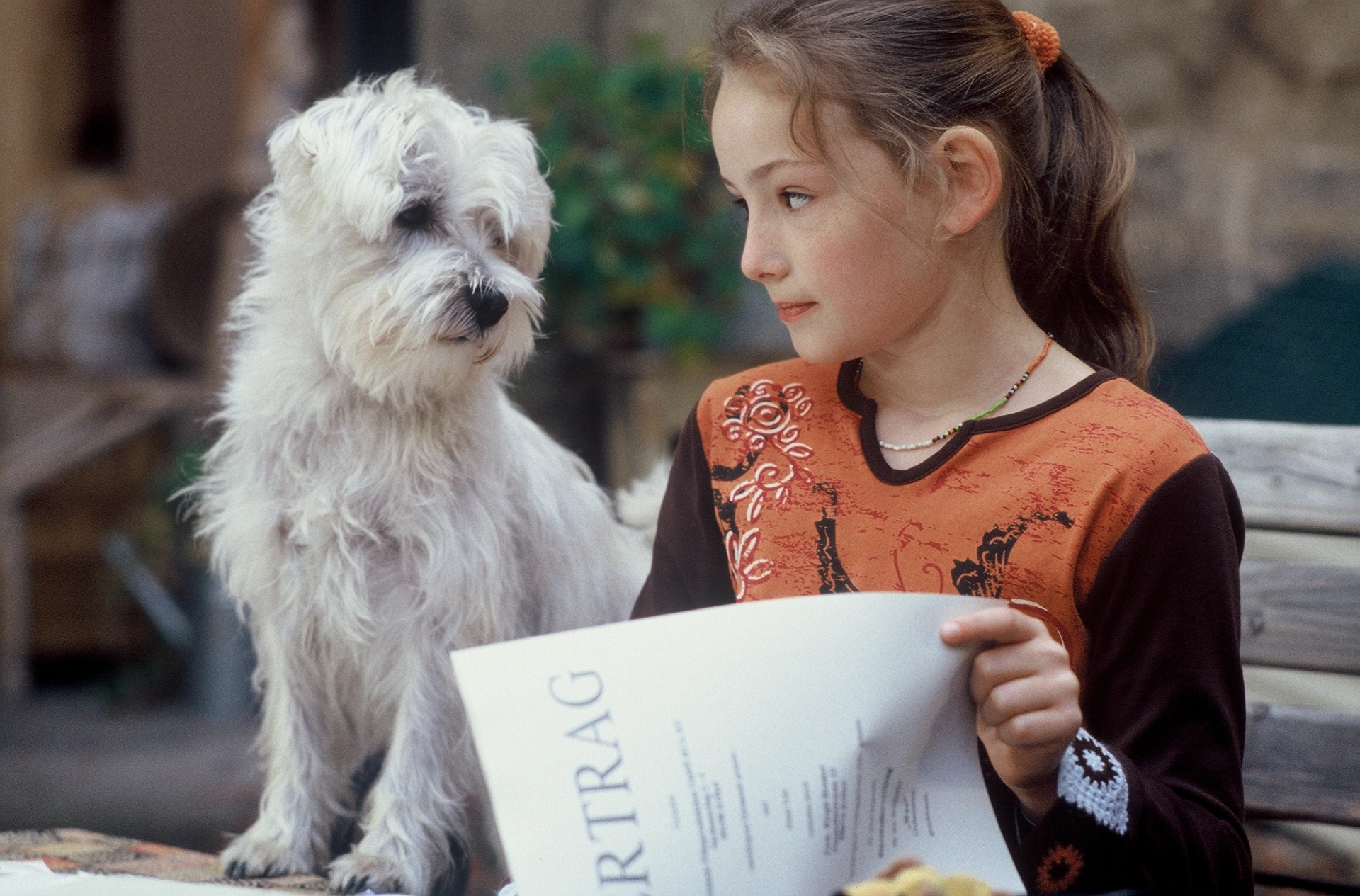 Tradewind-Pictures - Mein Bruder ist ein Hund - 01