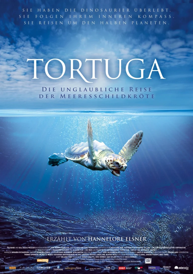 Tradwind-Pictures - Tortuga - Plakat